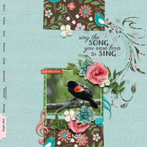 Sing Your Song