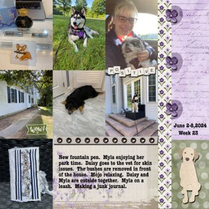 2024 week 23