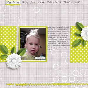 Crazy Hair Review