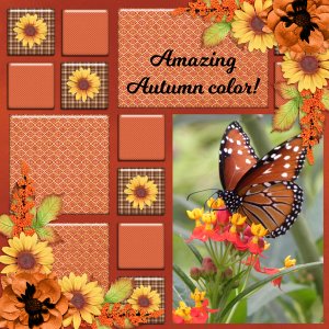 Amazing Autumn color!