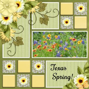 Texas Spring!