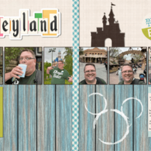 My Disneyland Day