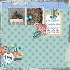 Blueprints 07 | J Conlon and Sons