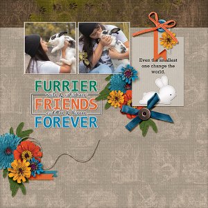 Furrier Friend