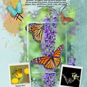 National Pollinators Month