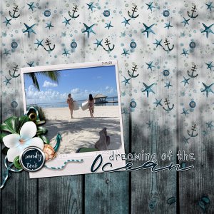 Dreaming of the Ocean