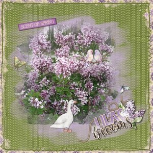 Lilacs
