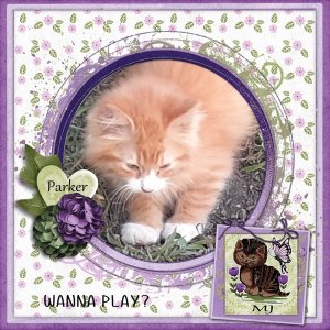 Wanna Play
