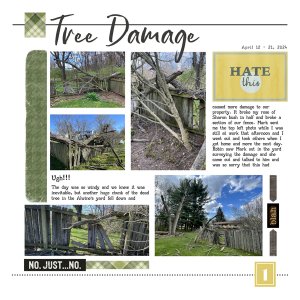 Tree Damage 4-12-24 Page 1