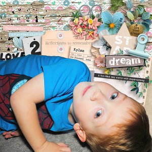 Dream - Reflections to remember