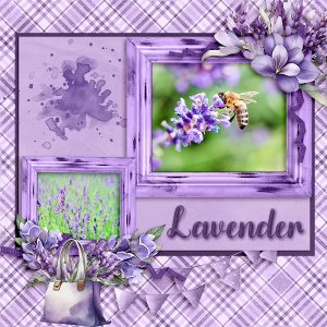 Oh So Lavender