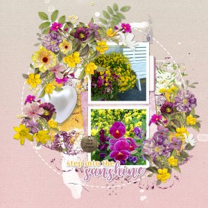 Outdoor flowers