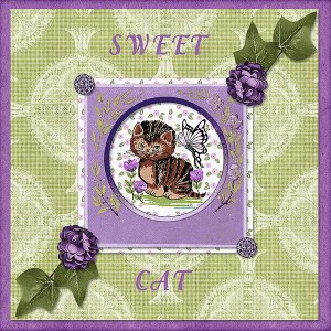 Sweet Cat