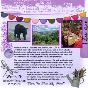 Project 365 Challenge - Week 26