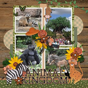 animal kingdom
