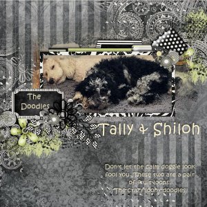 Tally + Shiloh