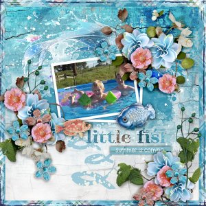 Little-fish2