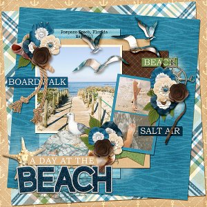A Day at the Beach