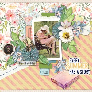 Every Summer Has A Story