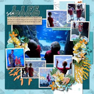 Sea Life
