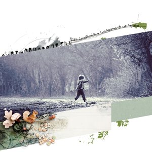 In the woods