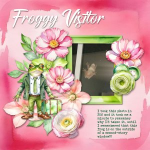 Visiting Frog