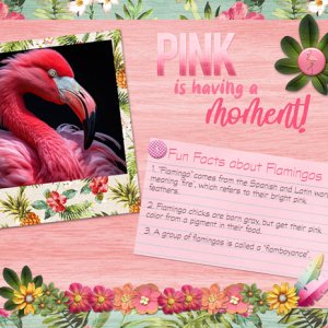 Pink is Having a Moment