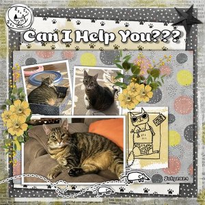 July 2024 Daily Download Challenge