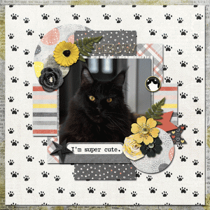 07-July-24-Daily-Download-Challenge