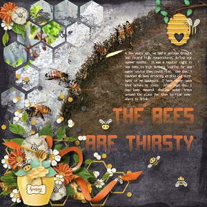 Thirsty Bees