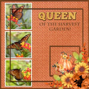 Queen of the Harvest Garden