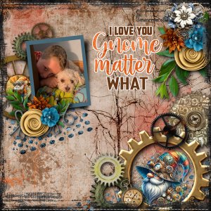 Gnome Imaginarium