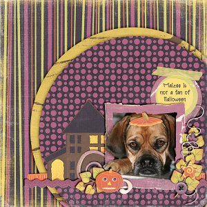 Not a Fan of Halloween
