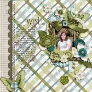 pdc_owd_wishlist-1