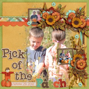 Pick of the Patch