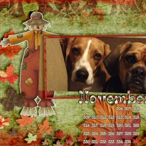 November Desktop