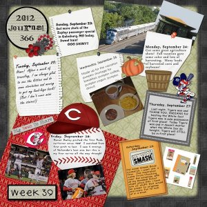 Journal 366. Week 39