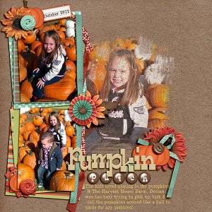Pumpkin Patch