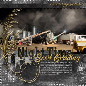 Night Time Seed Grading