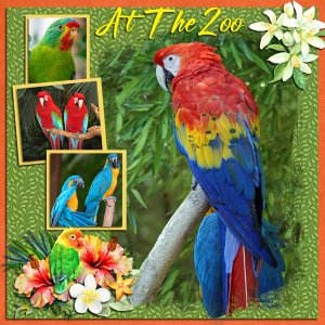 At Our Zoo