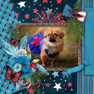 little miss 4th of july