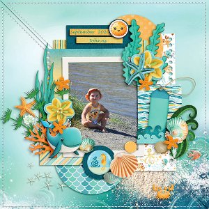 Fish in the Ocean