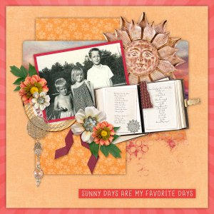 Sunshine with Desert Sun Temp #1-Connie Prince