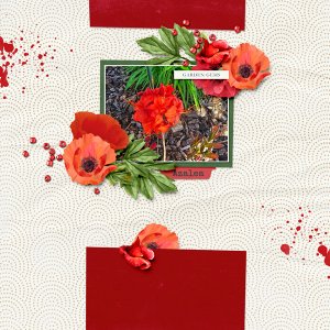2024 Azaleas