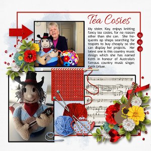 Tea Cosies