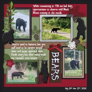 July 2024 Template #2 Challenge