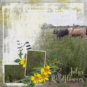 July's Wildflowers