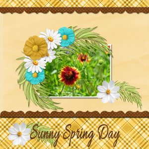 Sunny Spring Day