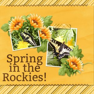 Spring in the Rockies!