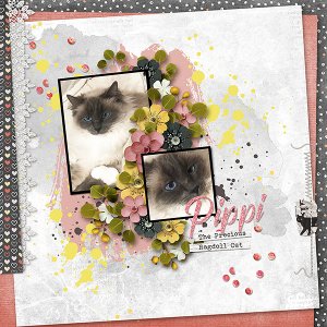 Pippi